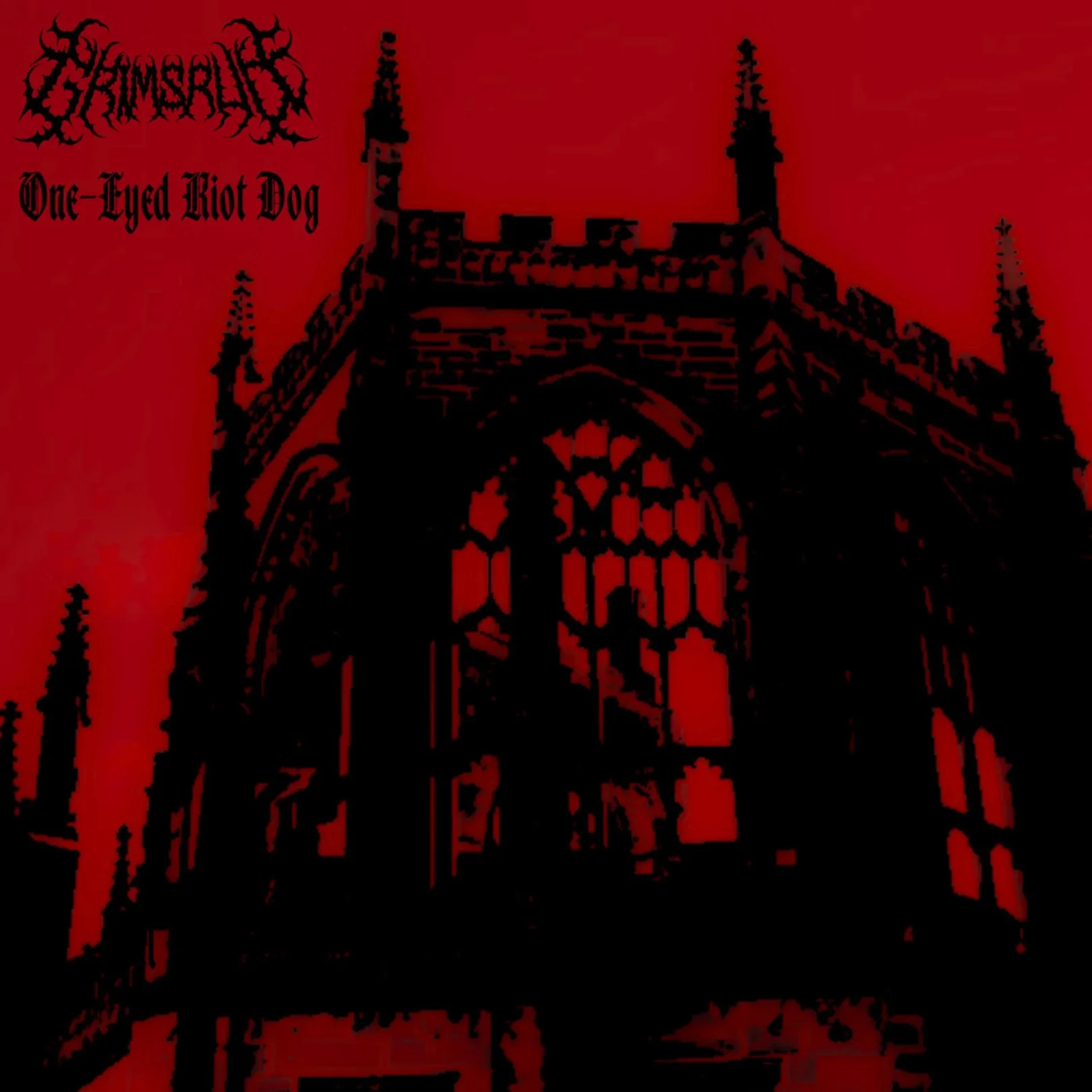 One-Eyed Riot Dog cover