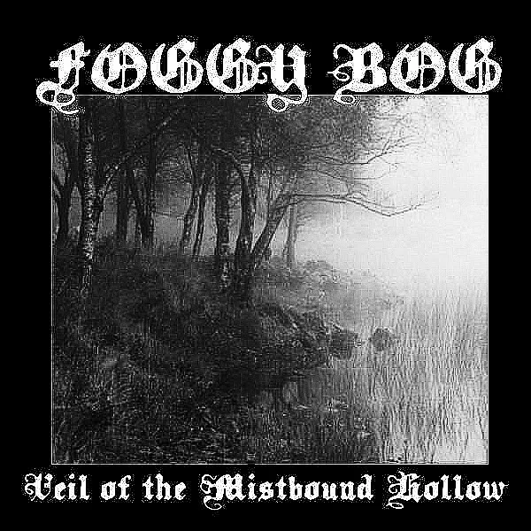 Veil of the Mistbound Hollow cover