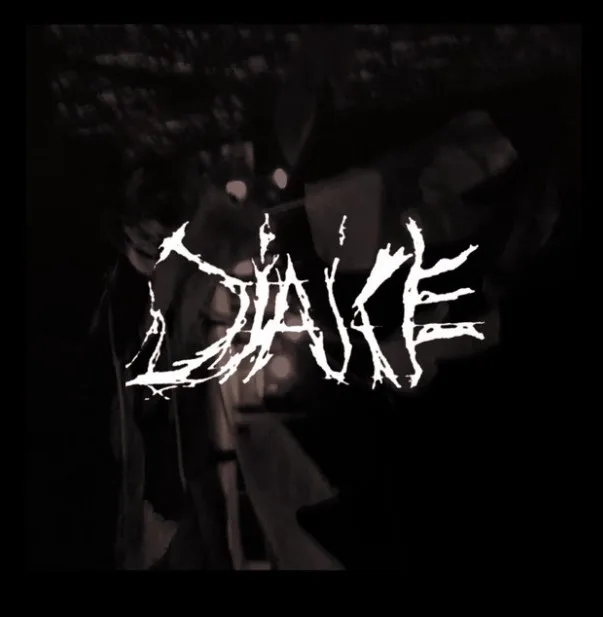 Silent Decay cover