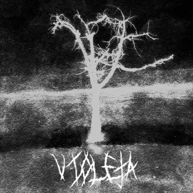 Meu Coração Batia Apressado cover