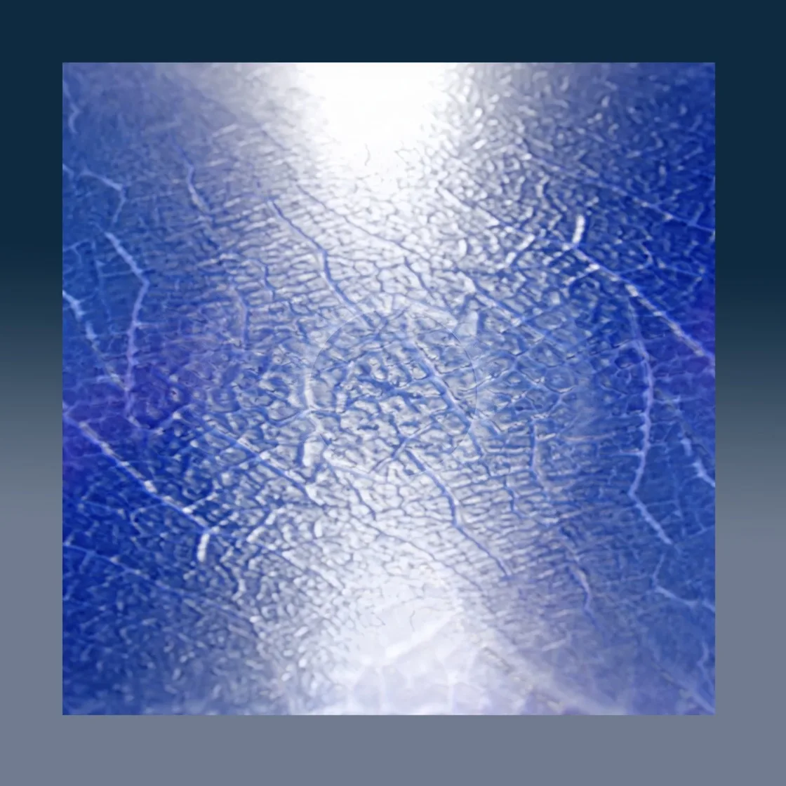 Shelter Under Leaves cover