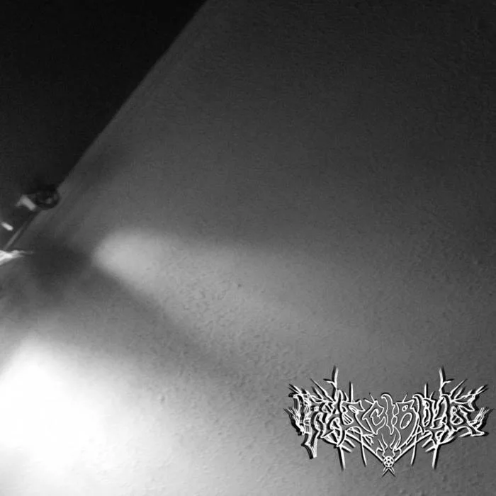 Demo 5 cover