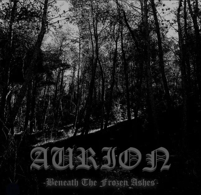 Beneath the Frozen Ashes cover