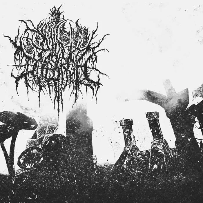 Chamber of Tvkvshapal cover