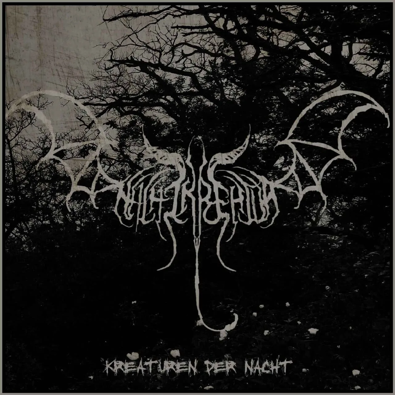 Kreaturen der Nacht cover