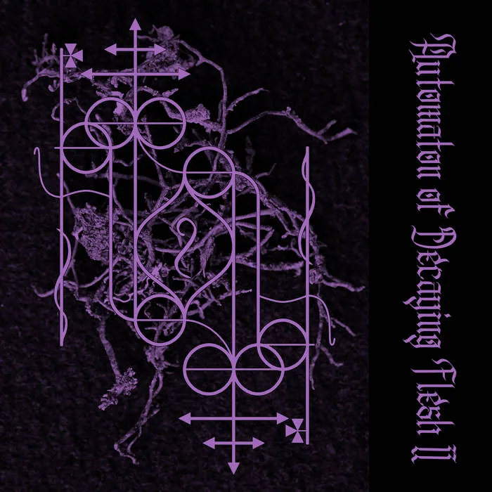 Automation of Decaying Flesh II cover