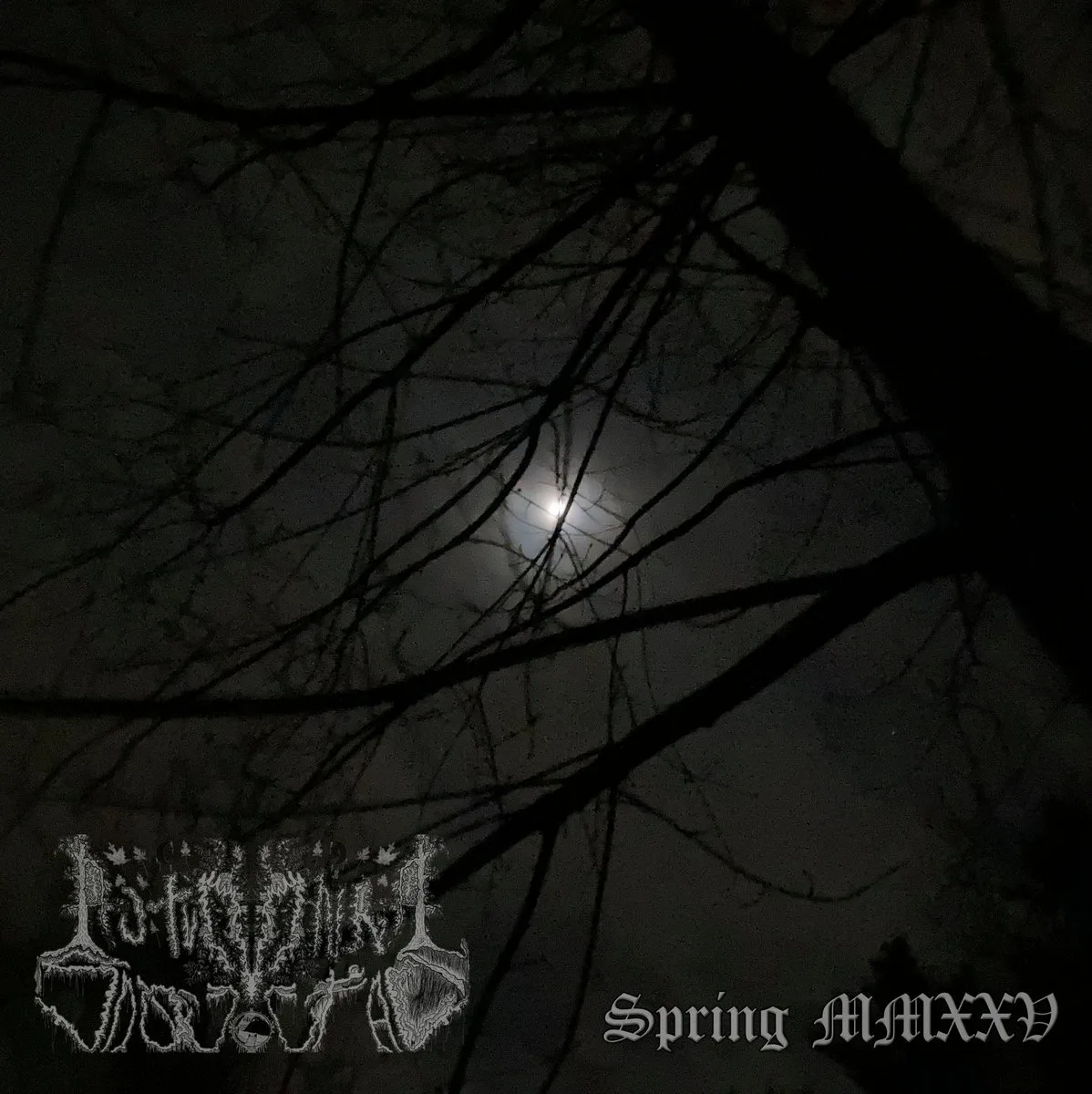 Spring MMXXV cover