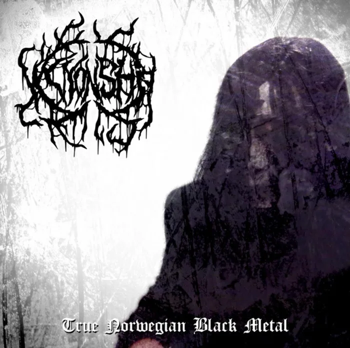 True Norwegian Black Metal cover