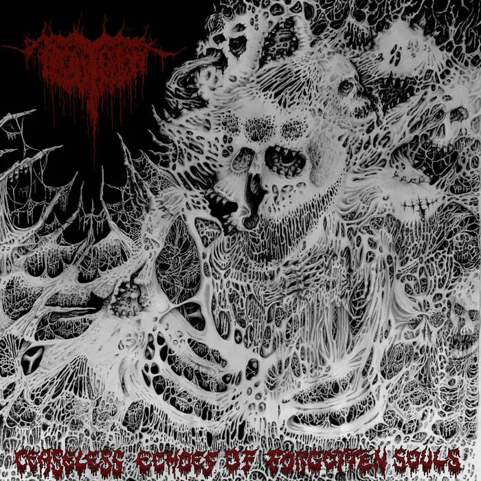 Ceaseless Echoes of Forgotten Souls cover