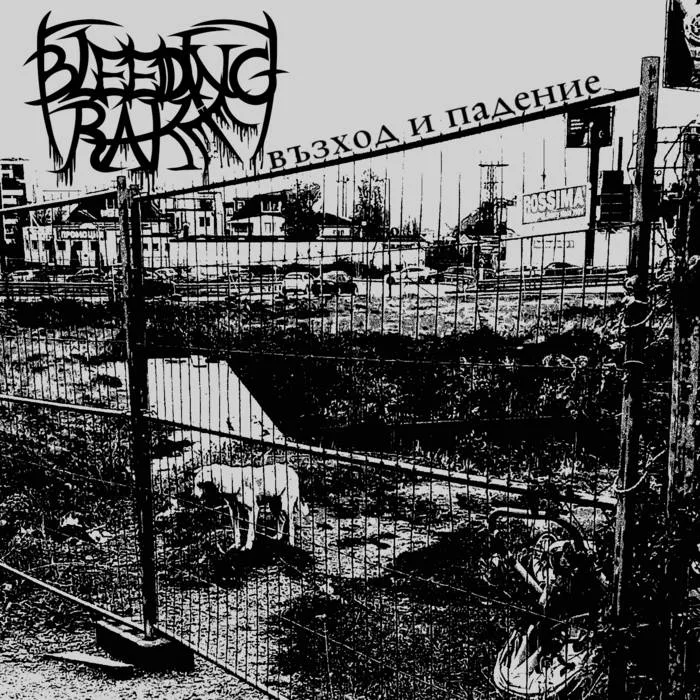 Възход и падение/Rise and Fall cover