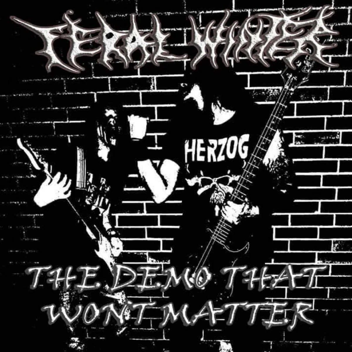 The Demo That Won't Matter cover