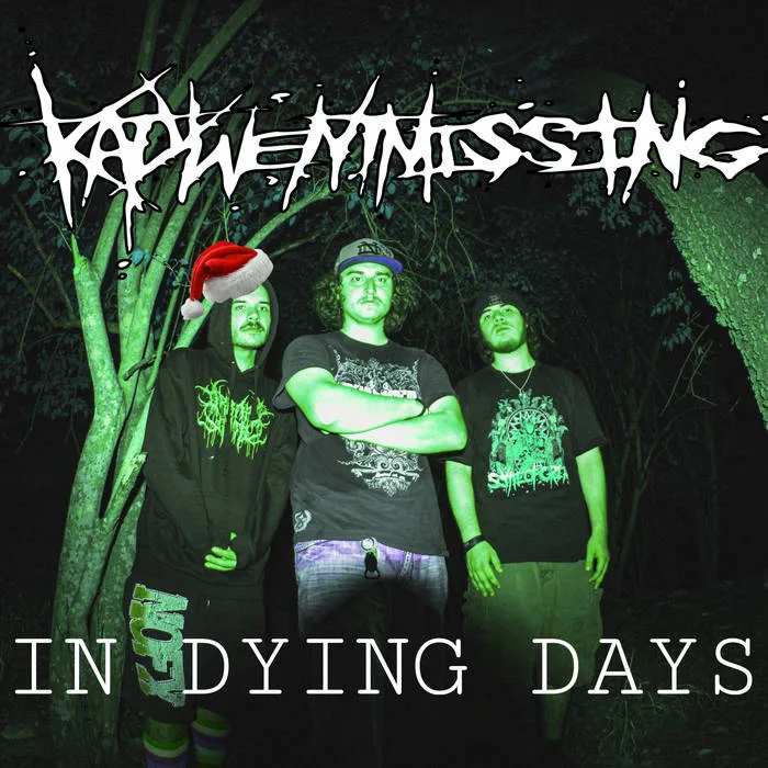 In Dying Days cover