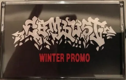 Winter Promo cover