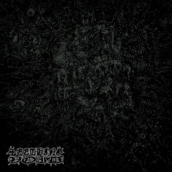 Seething Void cover