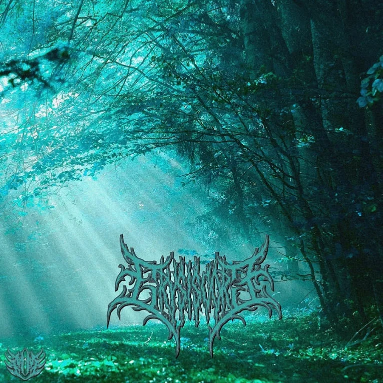 Painful Dreams cover