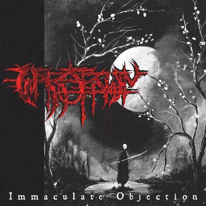 Immaculate Objection cover