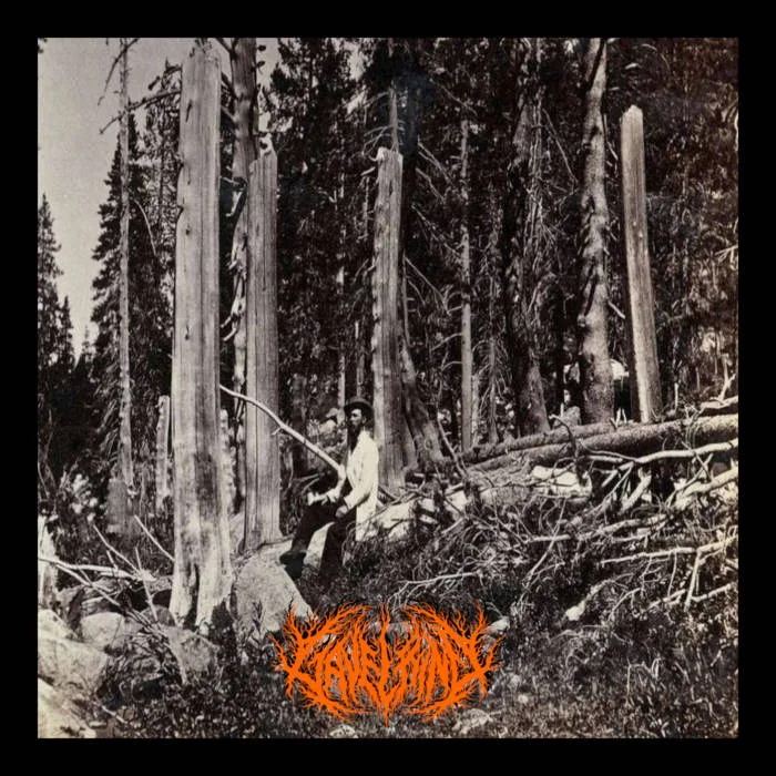 Through Root and Bark, I Exit Life. cover