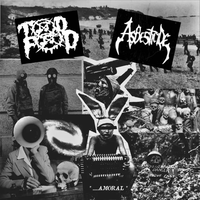 ....Amoral cover