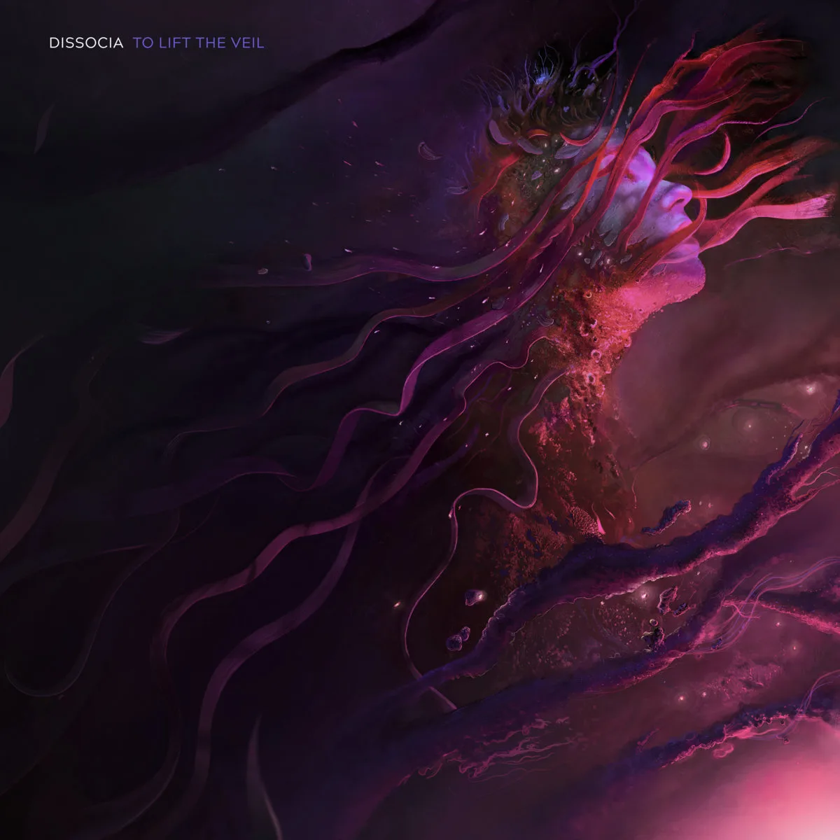 To Lift the Veil cover