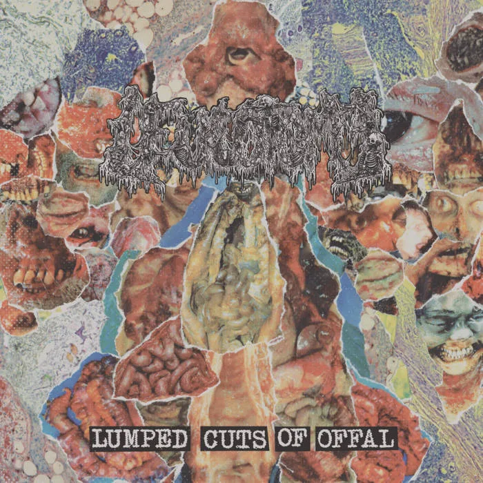 Lumped Cuts of Offal cover