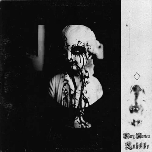 Waiting for the Day I Fall Asleep cover