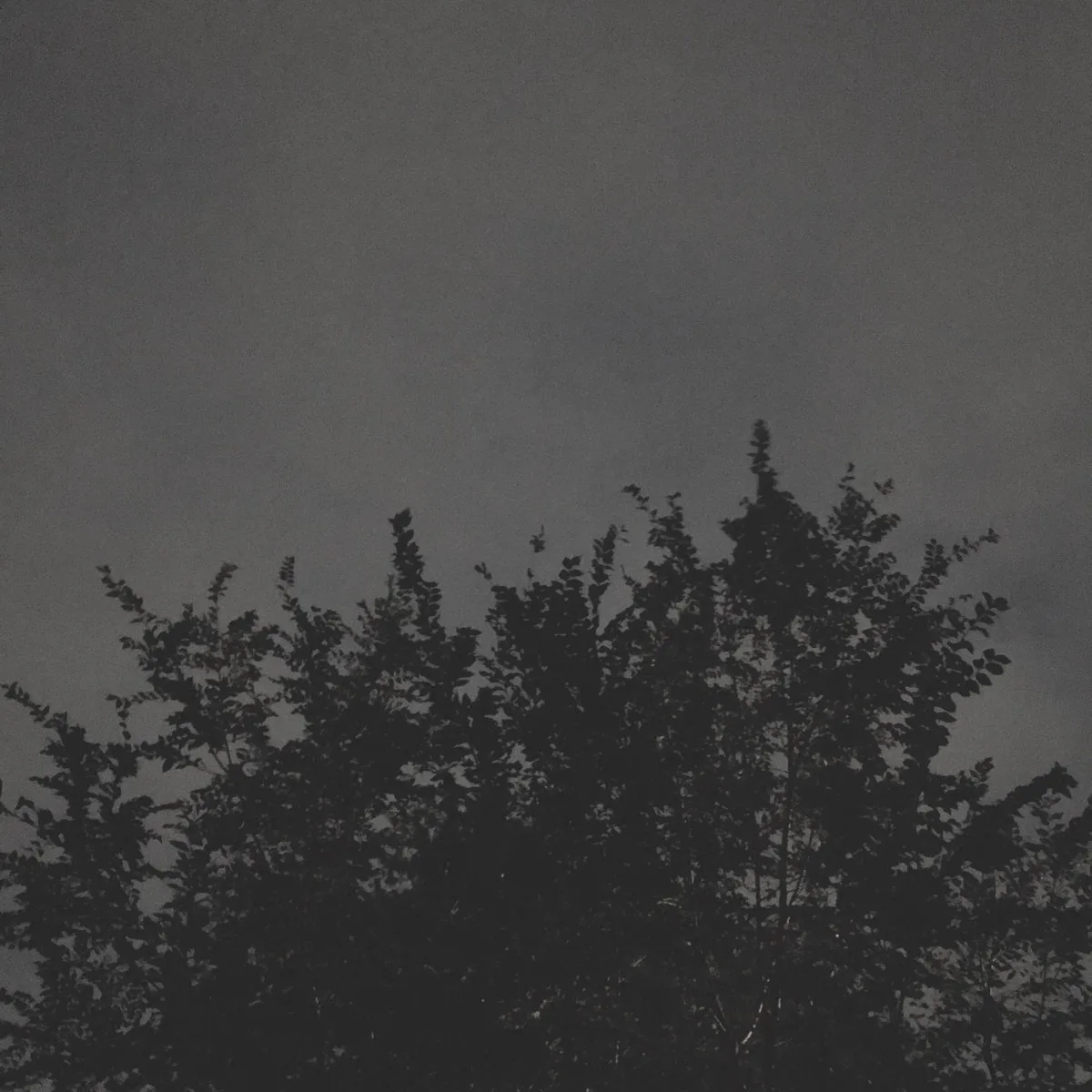 Admirer of Life cover