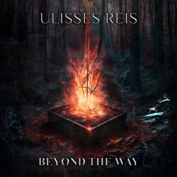 Beyond the Way cover