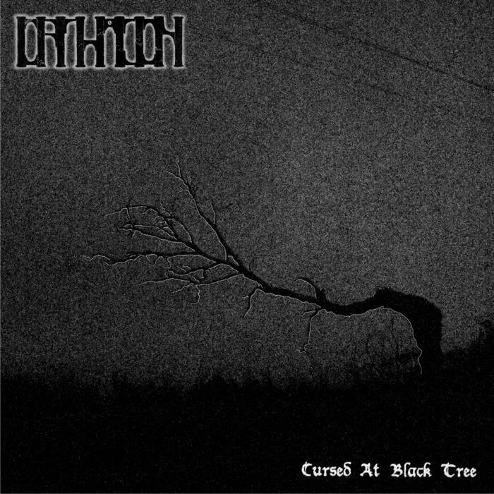 Cursed at Black Tree cover