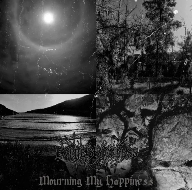 Mourning My Happiness cover