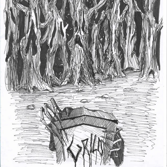 Candidíase Social cover