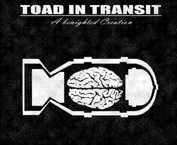 A Benighted Creation cover