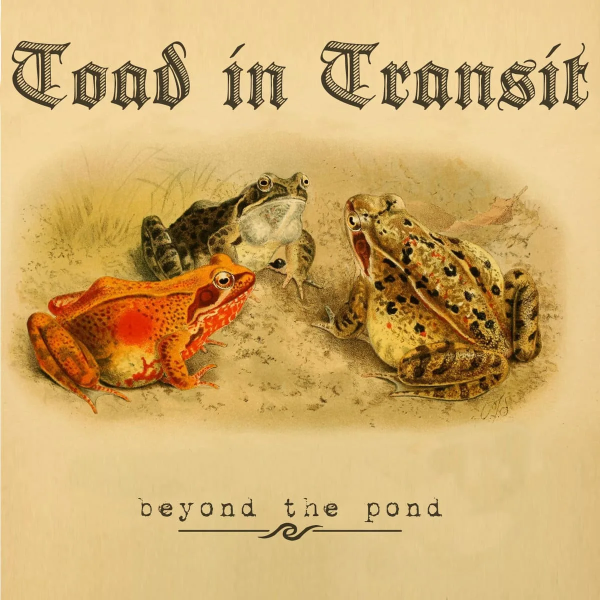 Beyond the Pond cover