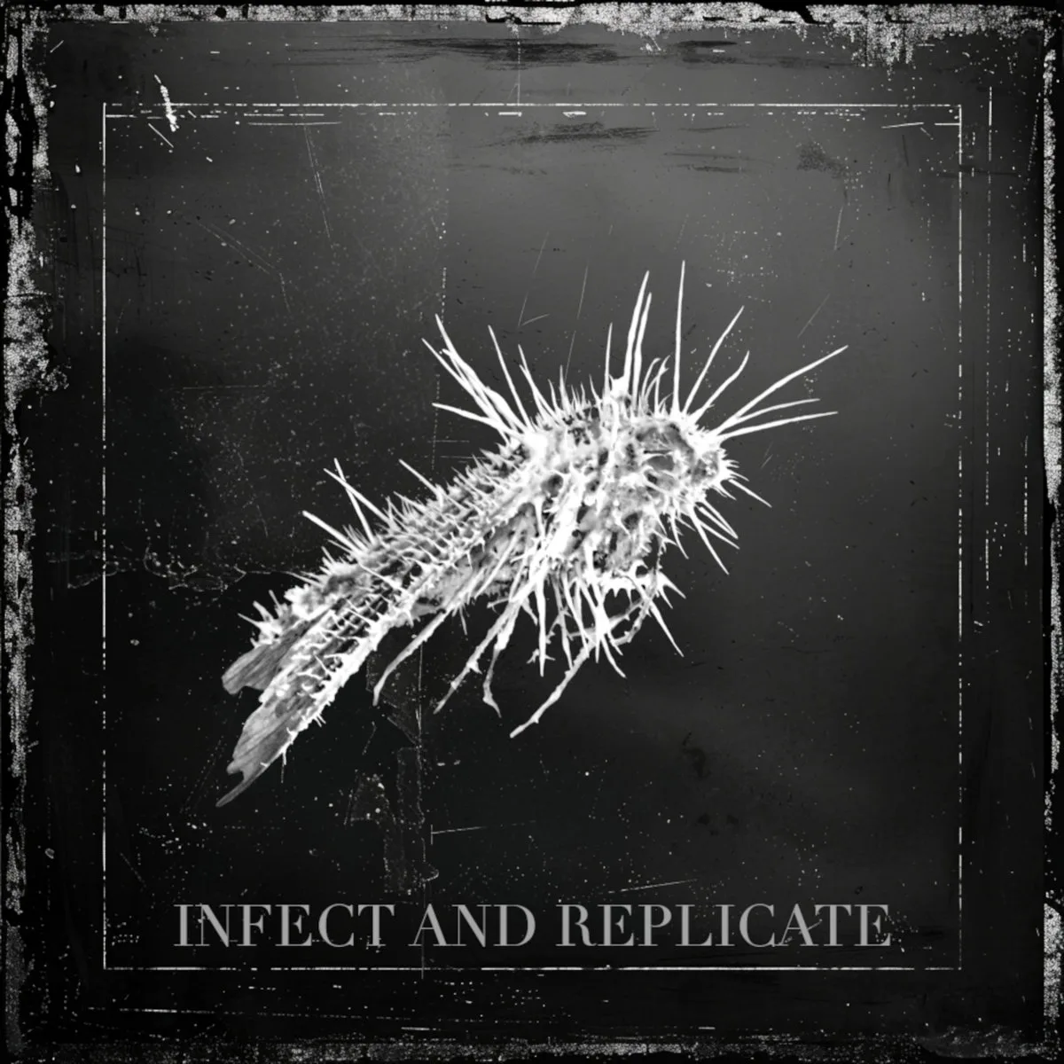 Infect & Replicate cover