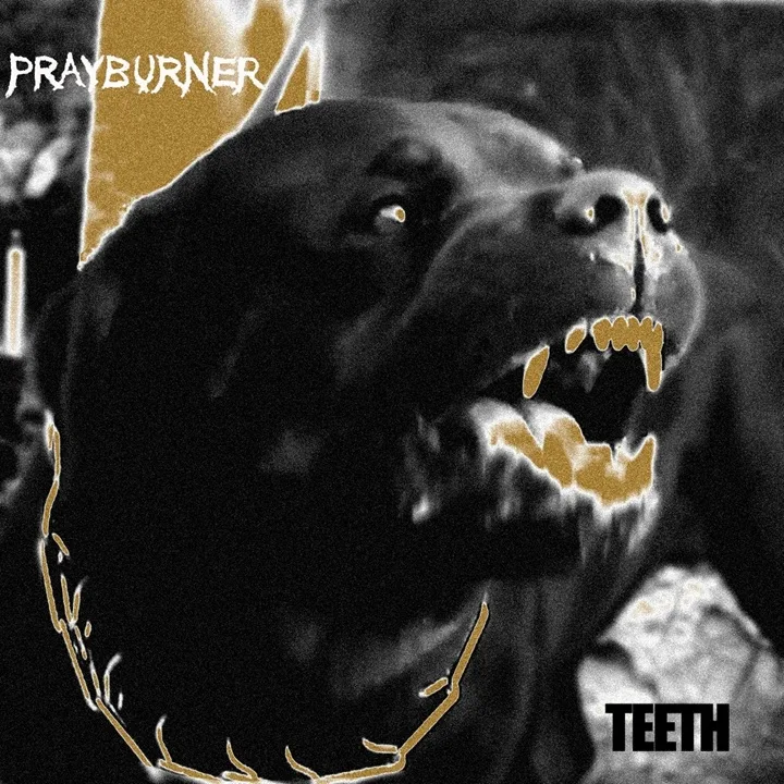 Teeth cover