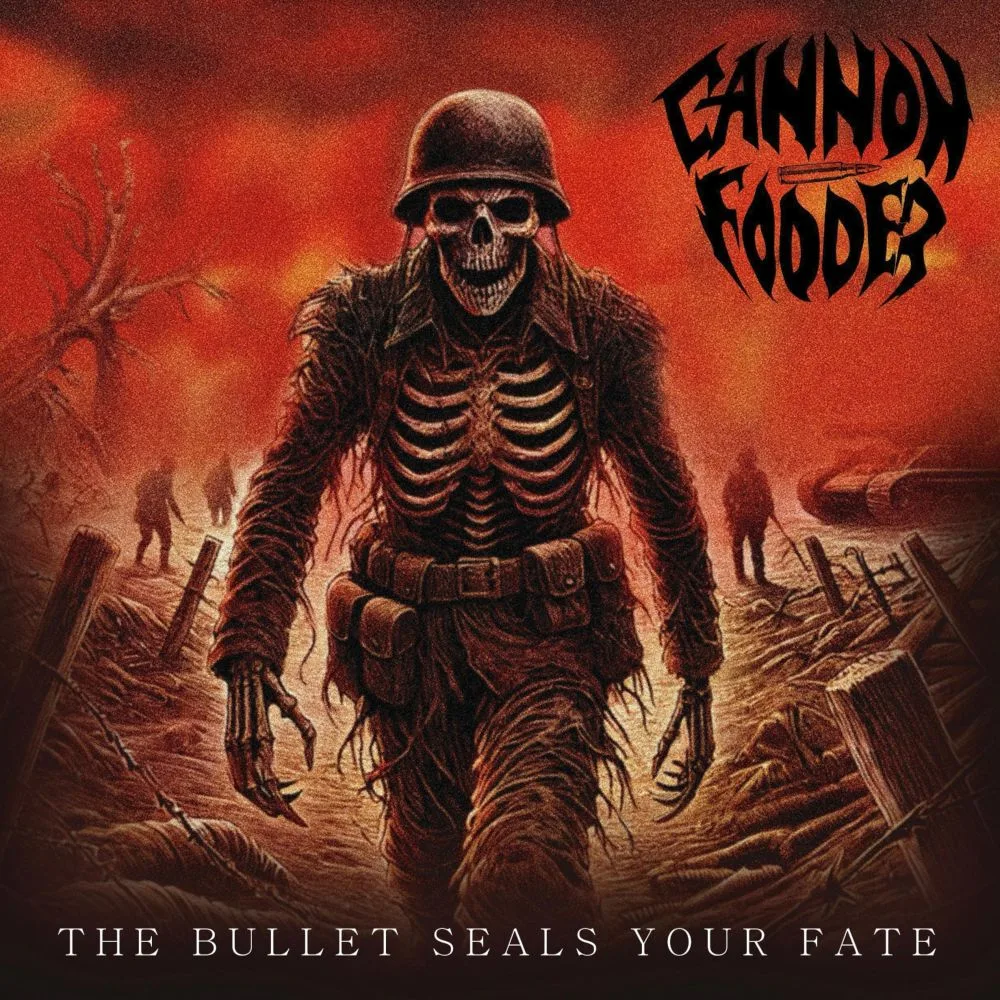 The Bullet Seals Your Fate cover