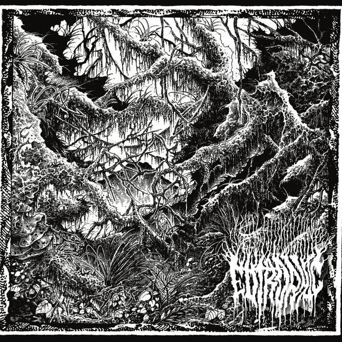 Demo cover