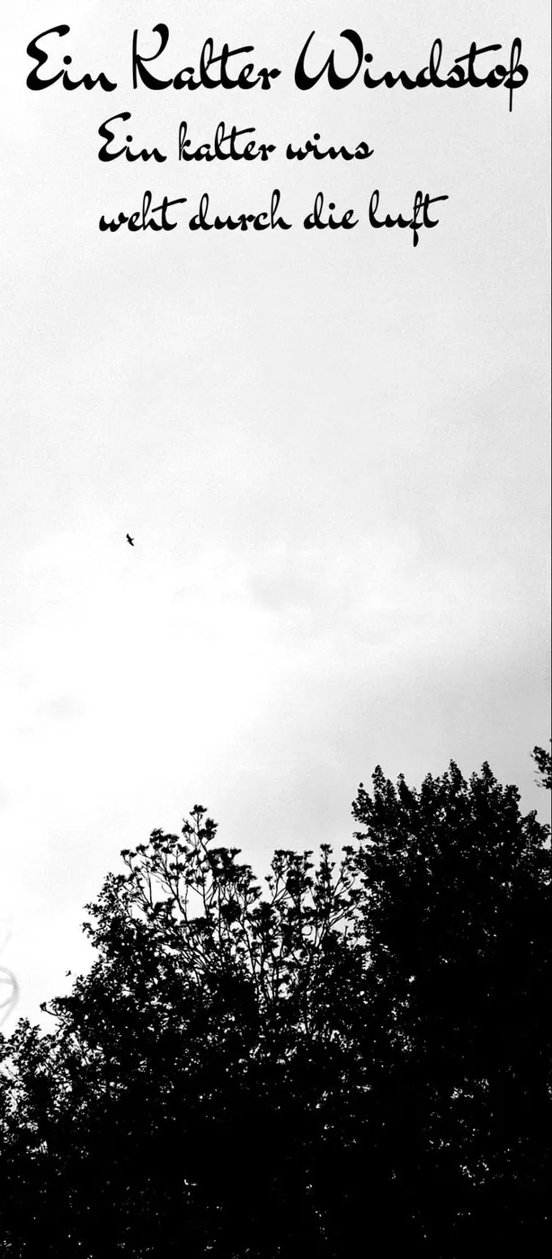 Ein kalter Wind weht durch die Luft cover