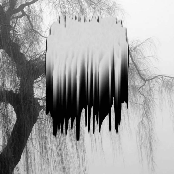 Dem Tod überlassen cover