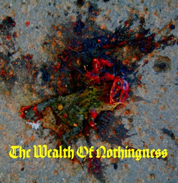 The Wealth of Nothingness cover