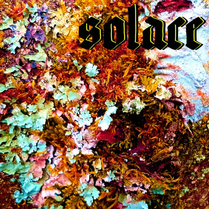 Solace cover