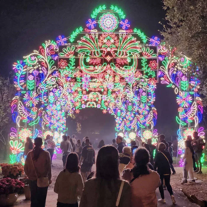 ハラキリ折り紙 cover