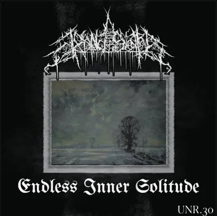 Endless Inner Solitude cover