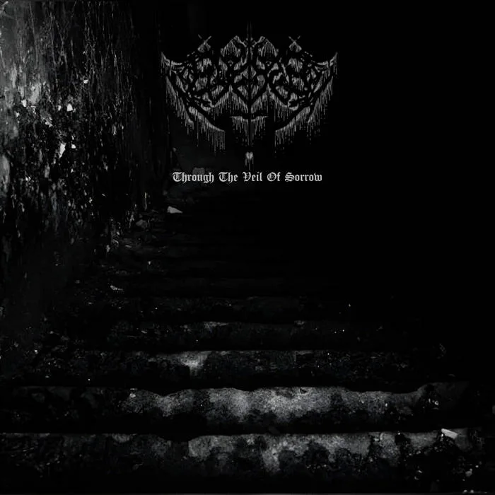Through the Veil of Sorrow cover