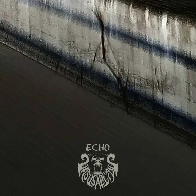 Echo cover
