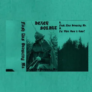 Flesh Flies Devouring Me cover