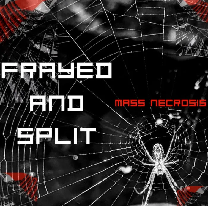 Frayed and Split cover