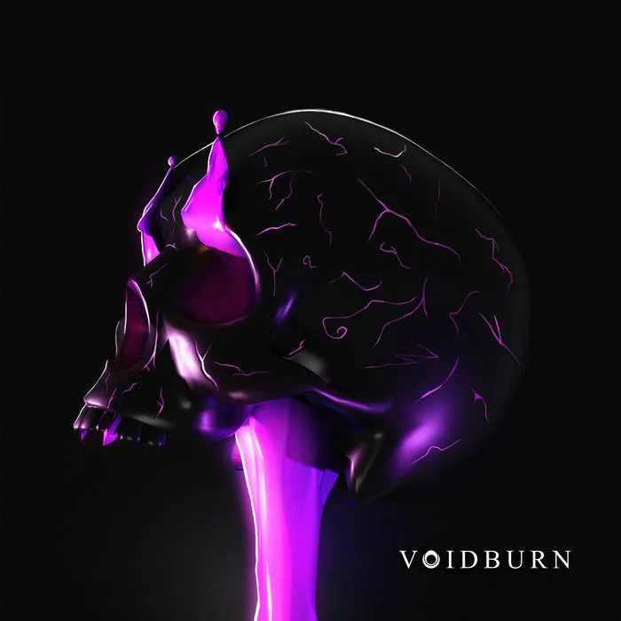 Voidburn cover