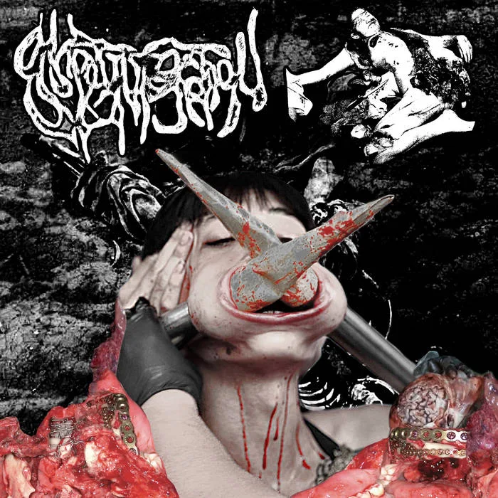Experiments in Body Modification cover