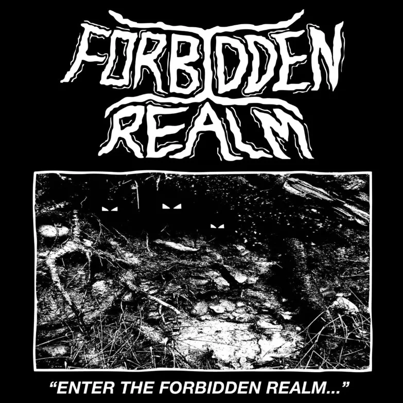 Enter the Forbidden Realm... cover