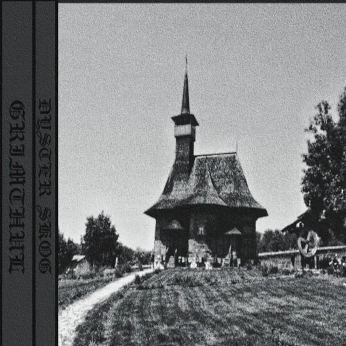 Dyster skog cover